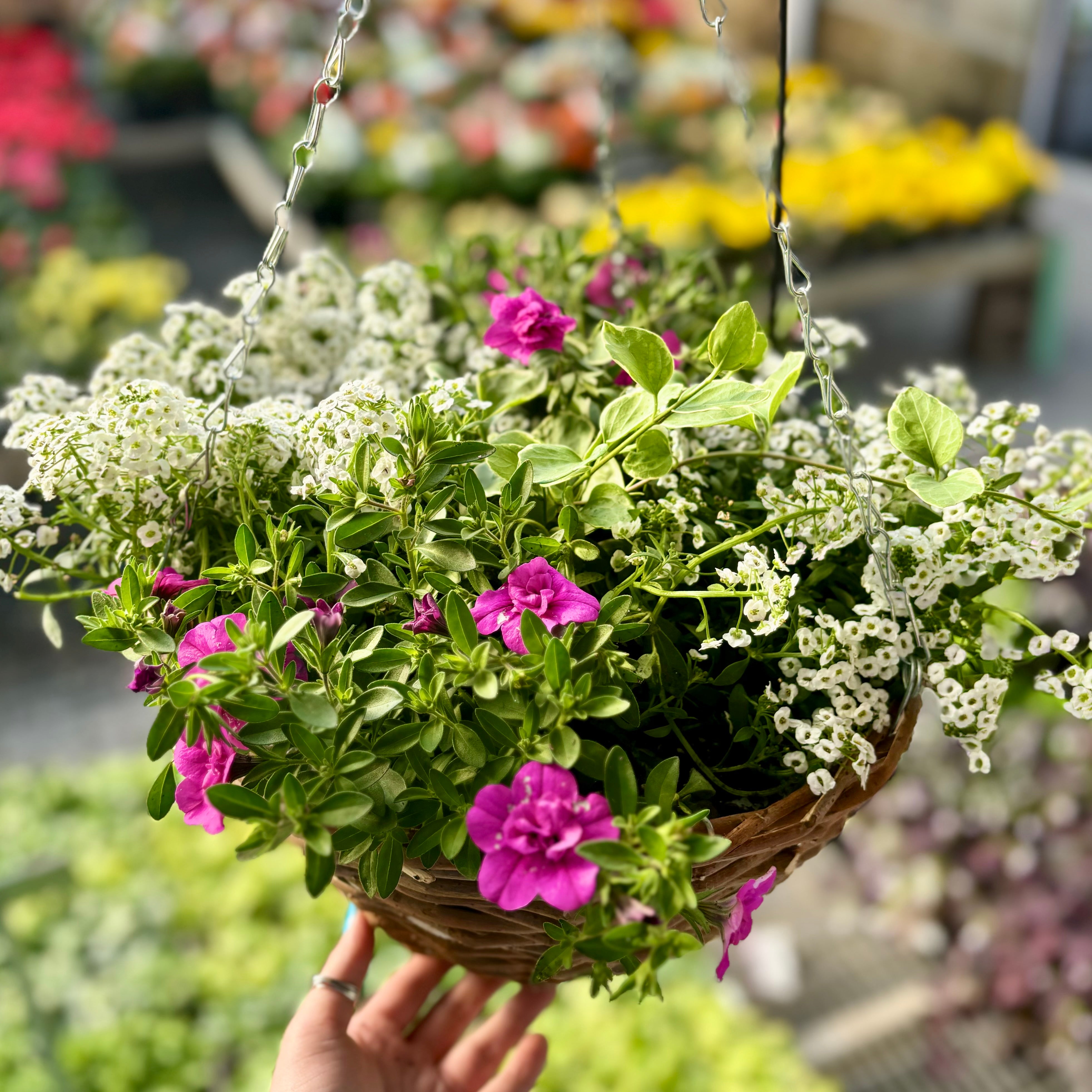Mother's Day Hanging Basket Corky's Garden Path