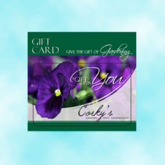 Corky's Gift Card