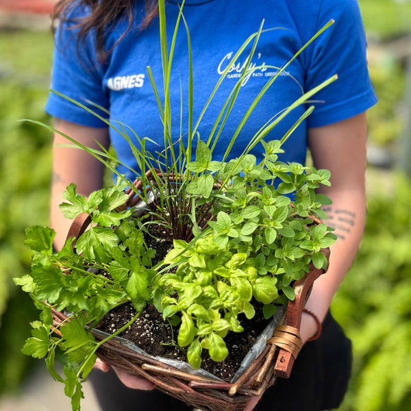 Embrace Greenery: Pop Up Herb Basket