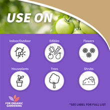 Load image into Gallery viewer, Neem Oil Ready-to-Use

