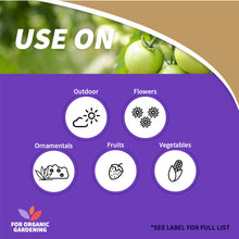 Load image into Gallery viewer, Copper Fungicide Ready-to-Use
