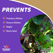 Load image into Gallery viewer, Copper Fungicide Ready-to-Use

